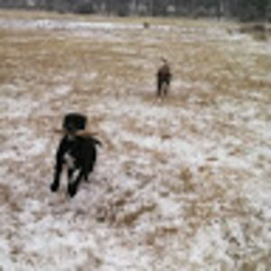 Meet your Posher, Aidan